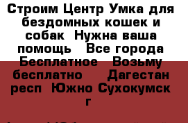 Строим Центр Умка для бездомных кошек и собак! Нужна ваша помощь - Все города Бесплатное » Возьму бесплатно   . Дагестан респ.,Южно-Сухокумск г.